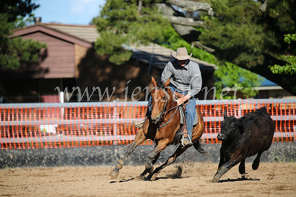 OrangeCampdraftSatOpen_3675
