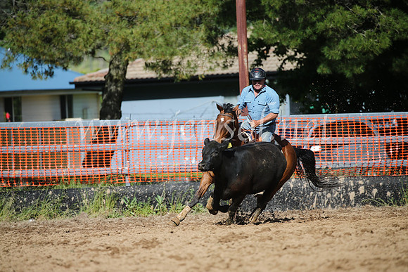 OrangeCampdraftSatOpen_3511