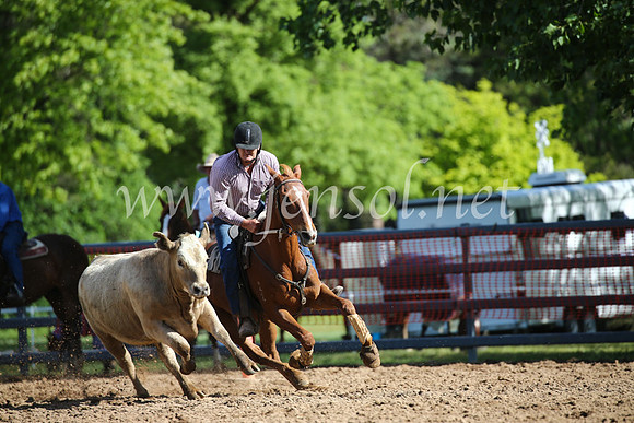 OrangeCampdraftSatOpen_3390