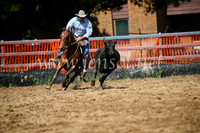 OrangeCampdraftSatOpen_3177