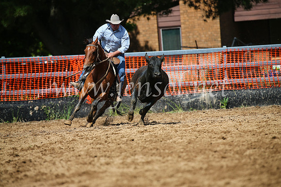 OrangeCampdraftSatOpen_3177