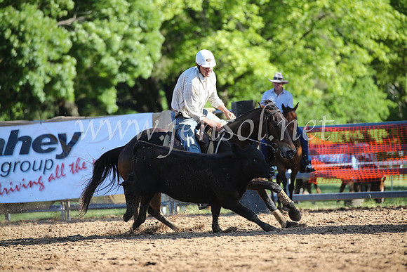 OrangeCampdraftSatOpen_3588