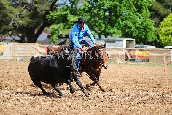 OrangeCampdraftSatOpen_3142