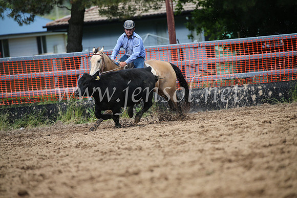 OrangeCampdraftSatOpen_3351