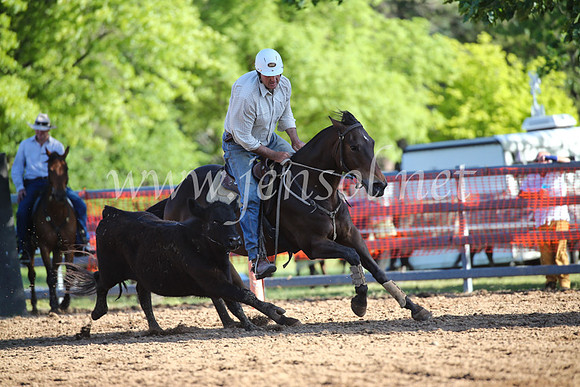 OrangeCampdraftSatOpen_3582