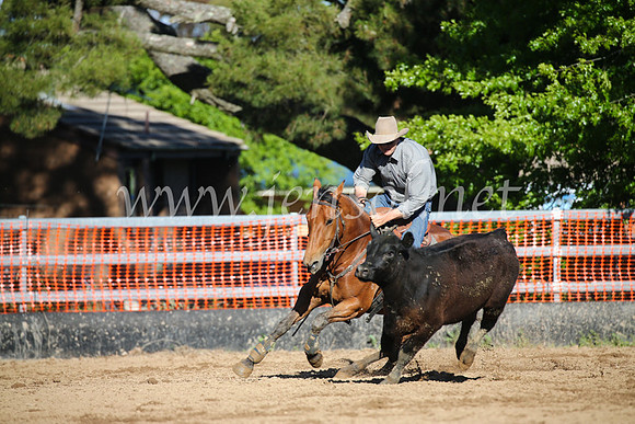 OrangeCampdraftSatOpen_3677