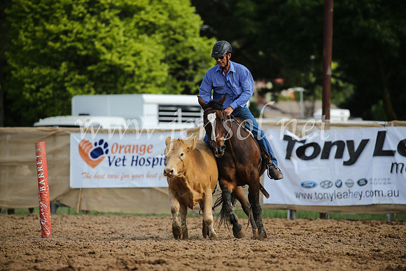 OrangeCampdraftSatOpen_3315