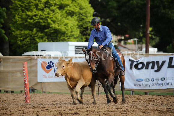 OrangeCampdraftSatOpen_3316