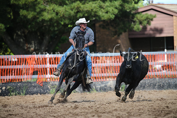 OrangeCampdraftSatOpen_3476