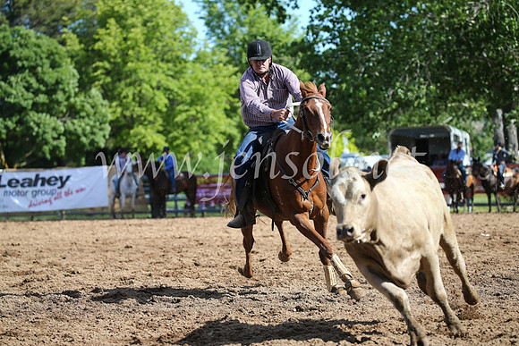 OrangeCampdraftSatOpen_3372