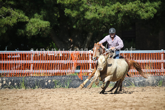 OrangeCampdraftSatOpen_3385