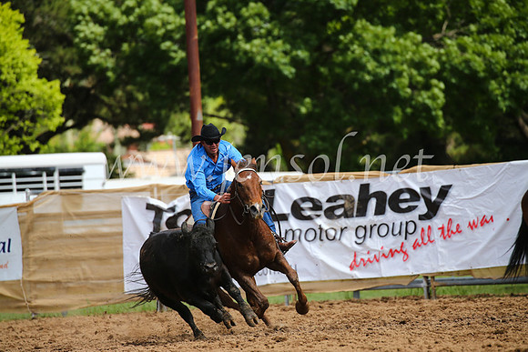 OrangeCampdraftSatOpen_3156