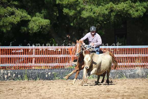 OrangeCampdraftSatOpen_3387