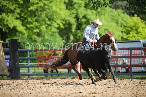 OrangeCampdraftSatOpen_3228