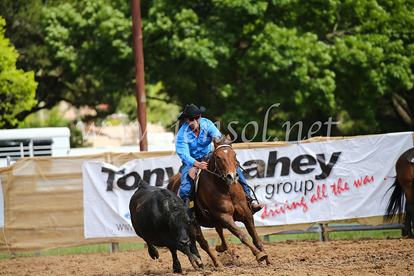 OrangeCampdraftSatOpen_3159