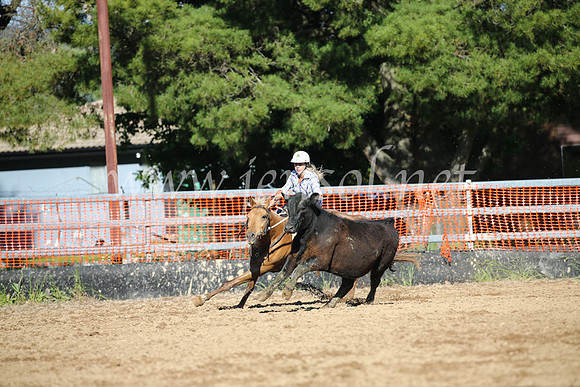 OrangeCampdraftSatOpen_3649