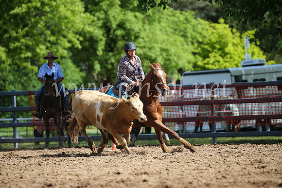 OrangeCampdraftSatOpen_3266