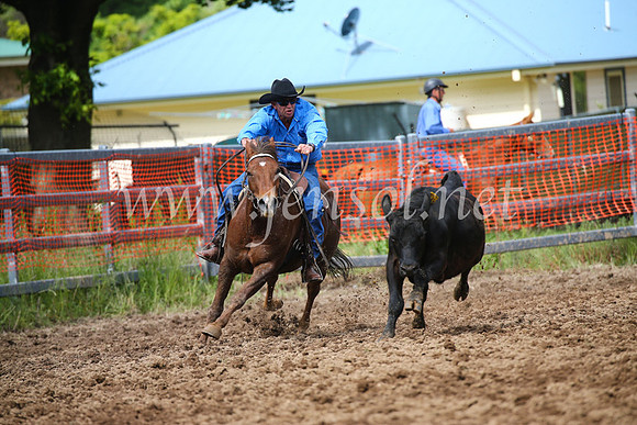 OrangeCampdraftSatOpen_3143