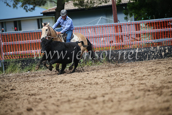 OrangeCampdraftSatOpen_3356