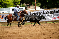 OrangeCampdraftSatOpen_3182