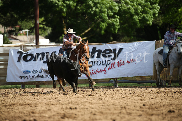 OrangeCampdraftSatOpen_3370