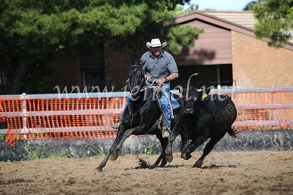 OrangeCampdraftSatOpen_3481