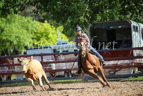 OrangeCampdraftSatOpen_3263