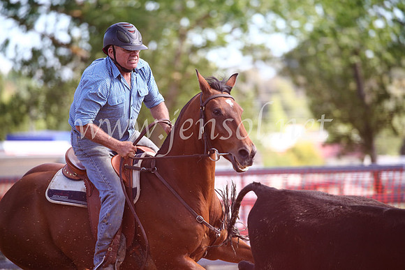 OrangeCampdraftSatOpen_3503