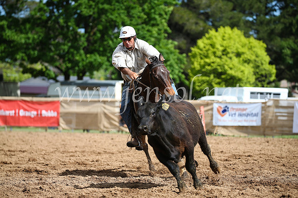 OrangeCampdraftSatOpen_3203