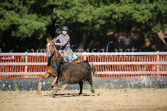 OrangeCampdraftSatOpen_3632