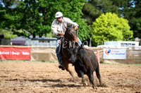 OrangeCampdraftSatOpen_3204