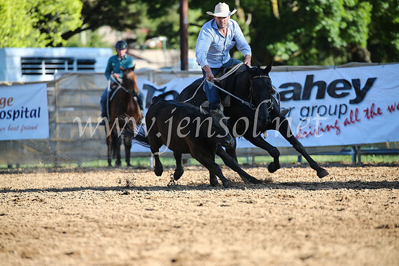 OrangeCampdraftSatOpen_3663