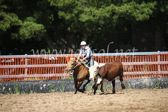 OrangeCampdraftSatOpen_3425