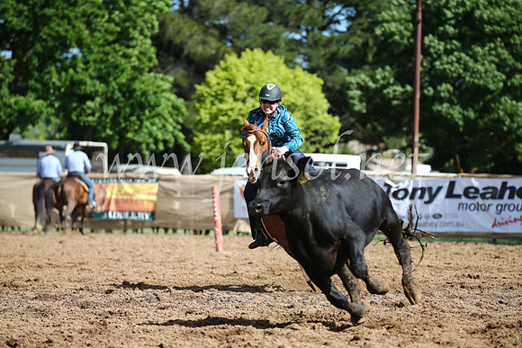 OrangeCampdraftSatOpen_3305