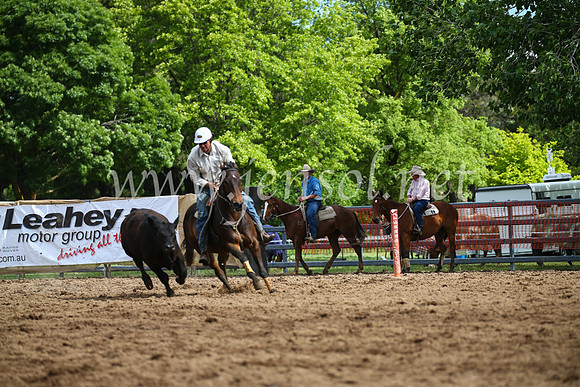 OrangeCampdraftSatOpen_3206