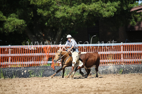 OrangeCampdraftSatOpen_3427