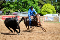 OrangeCampdraftSatOpen_3140
