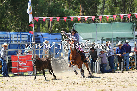 PictonRodeo2015_1317