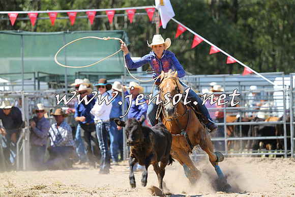 PictonRodeo2015_1283