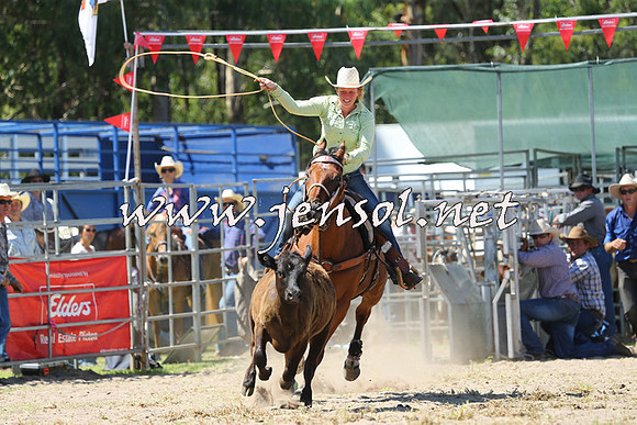 PictonRodeo2015_1308