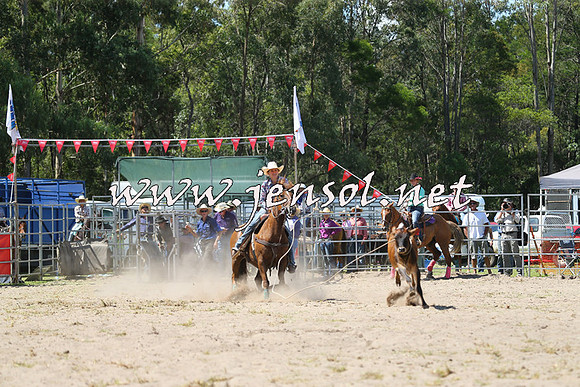 PictonRodeo2015_1279