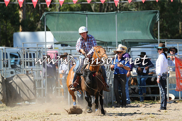 PictonRodeo2015_1542