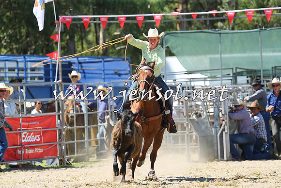 PictonRodeo2015_1306