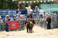 PictonRodeo2015_0392