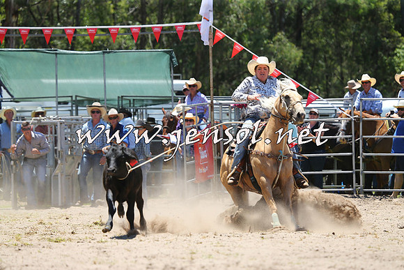 PictonRodeo2015_0460