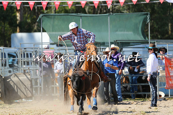 PictonRodeo2015_1548