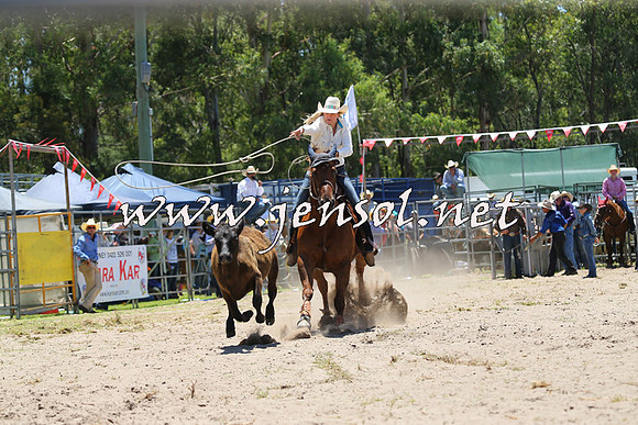 PictonRodeo2015_0394
