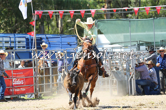PictonRodeo2015_1307