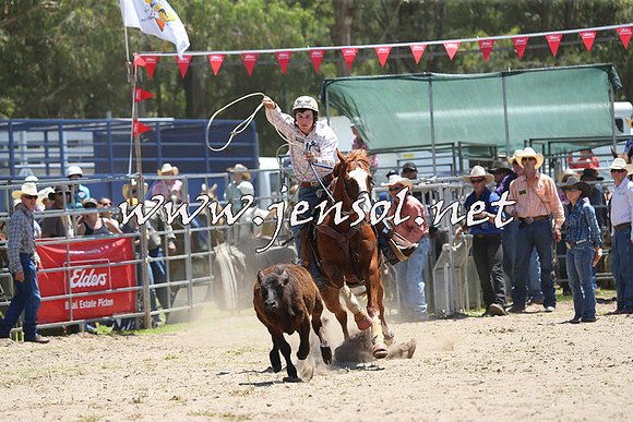 PictonRodeo2015_0027