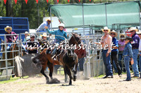 PictonRodeo2015_0033
